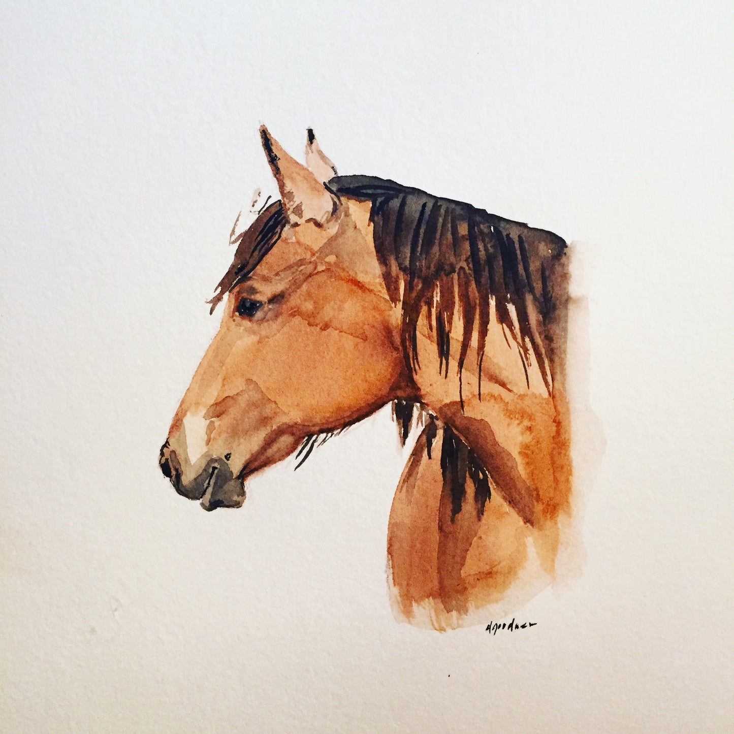 horse