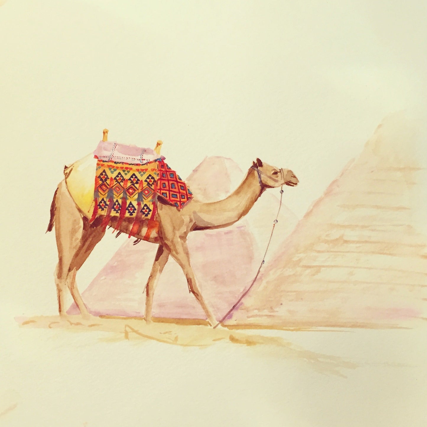 camel