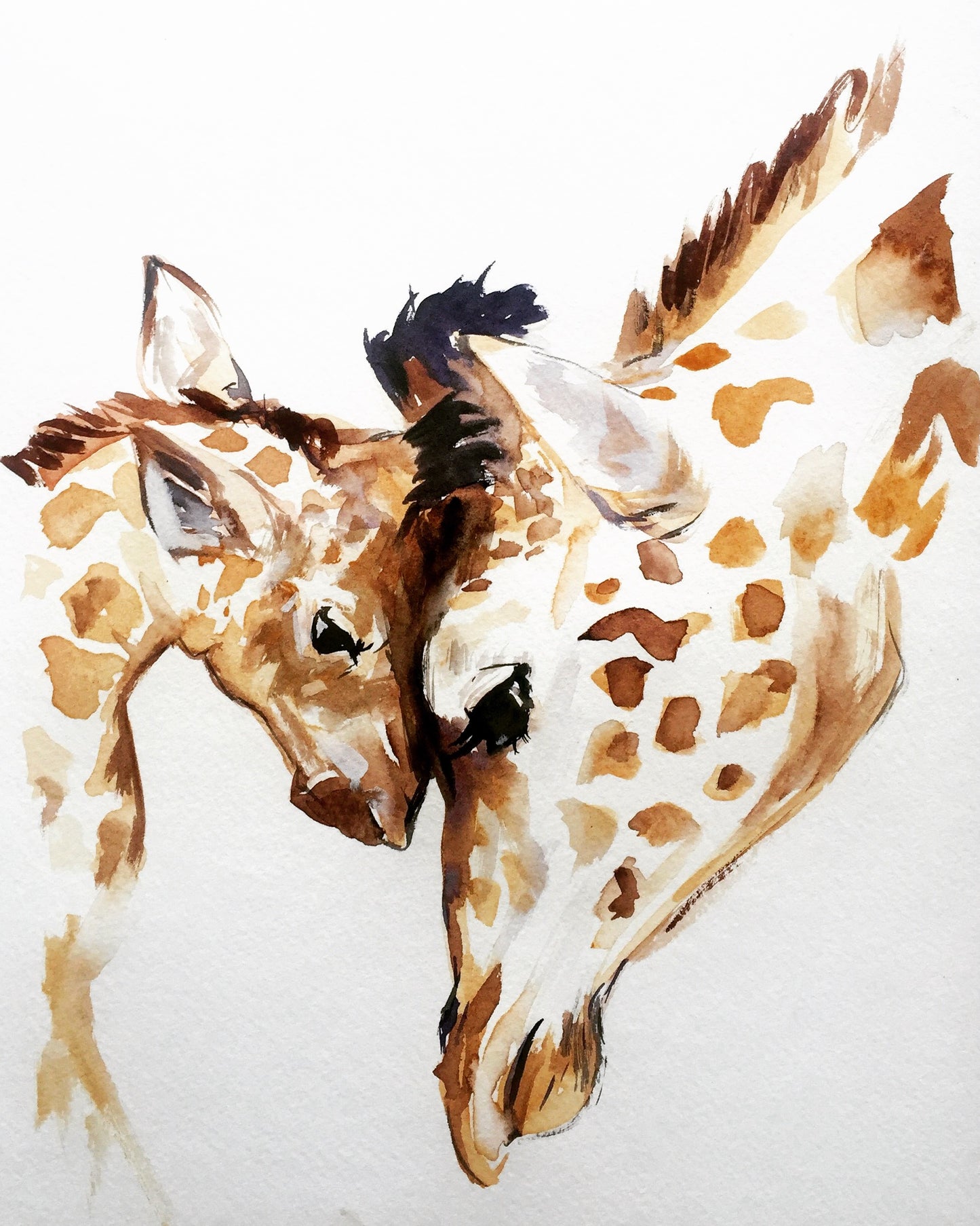 giraffe