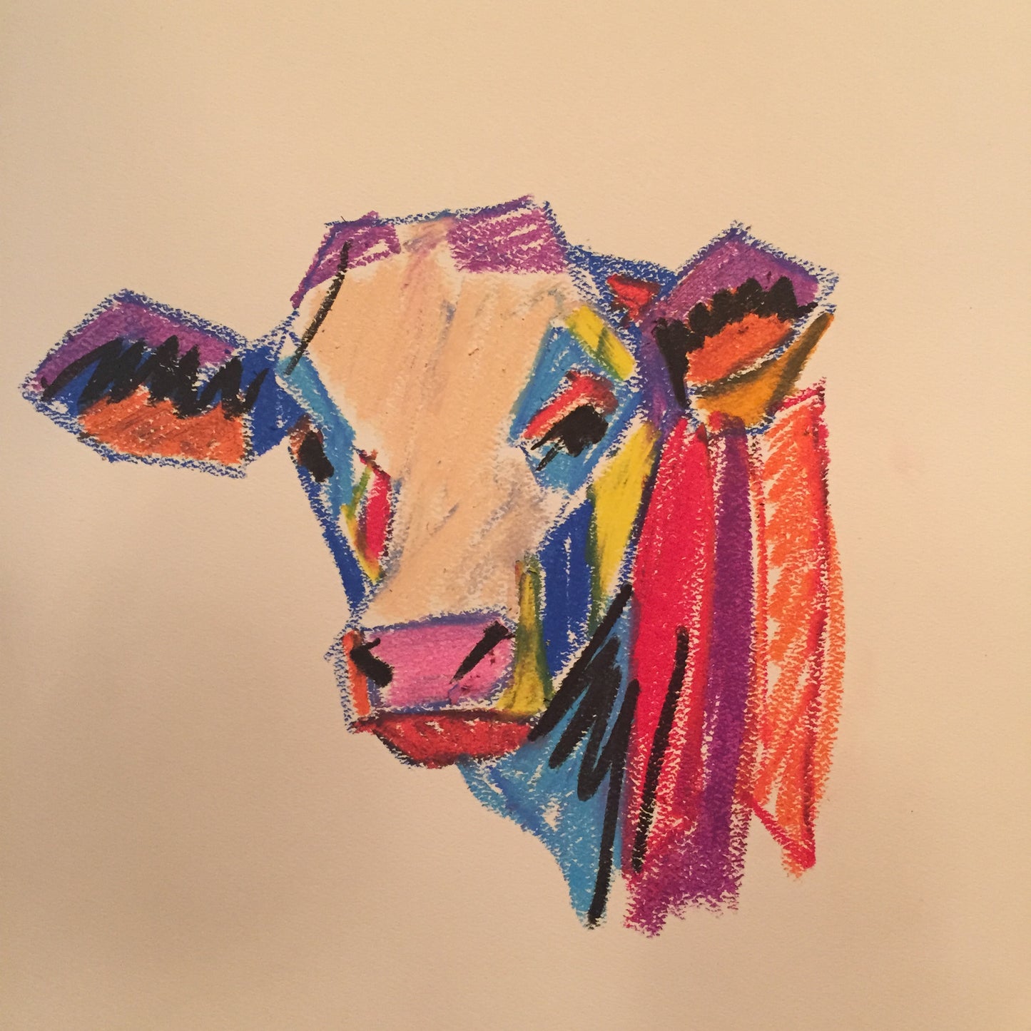colorful cow