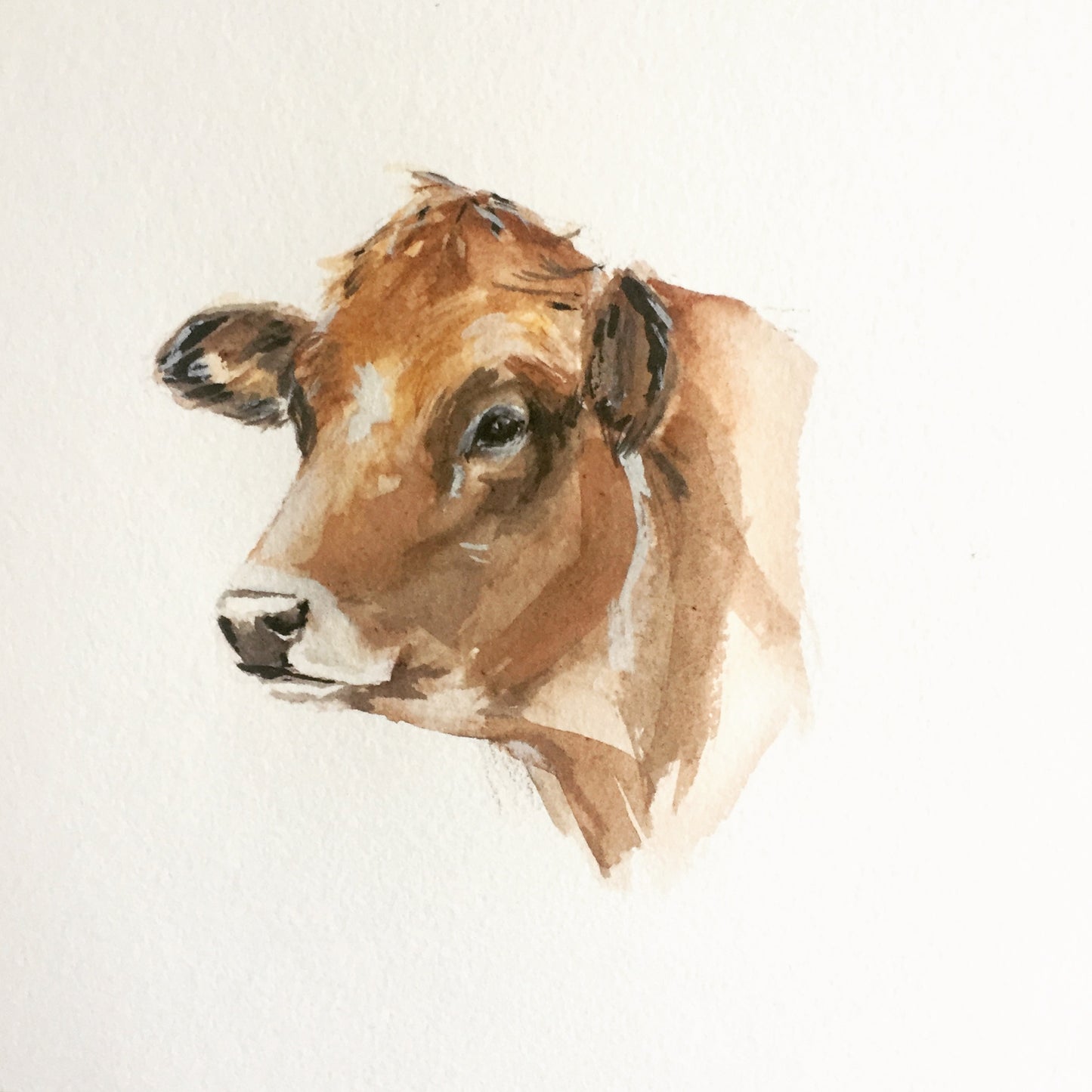cow