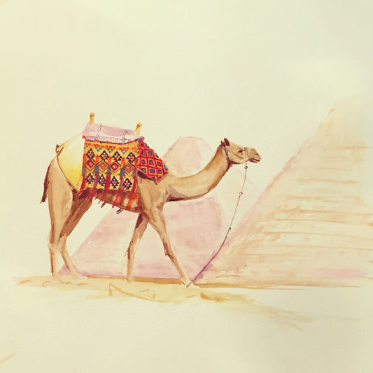 camel